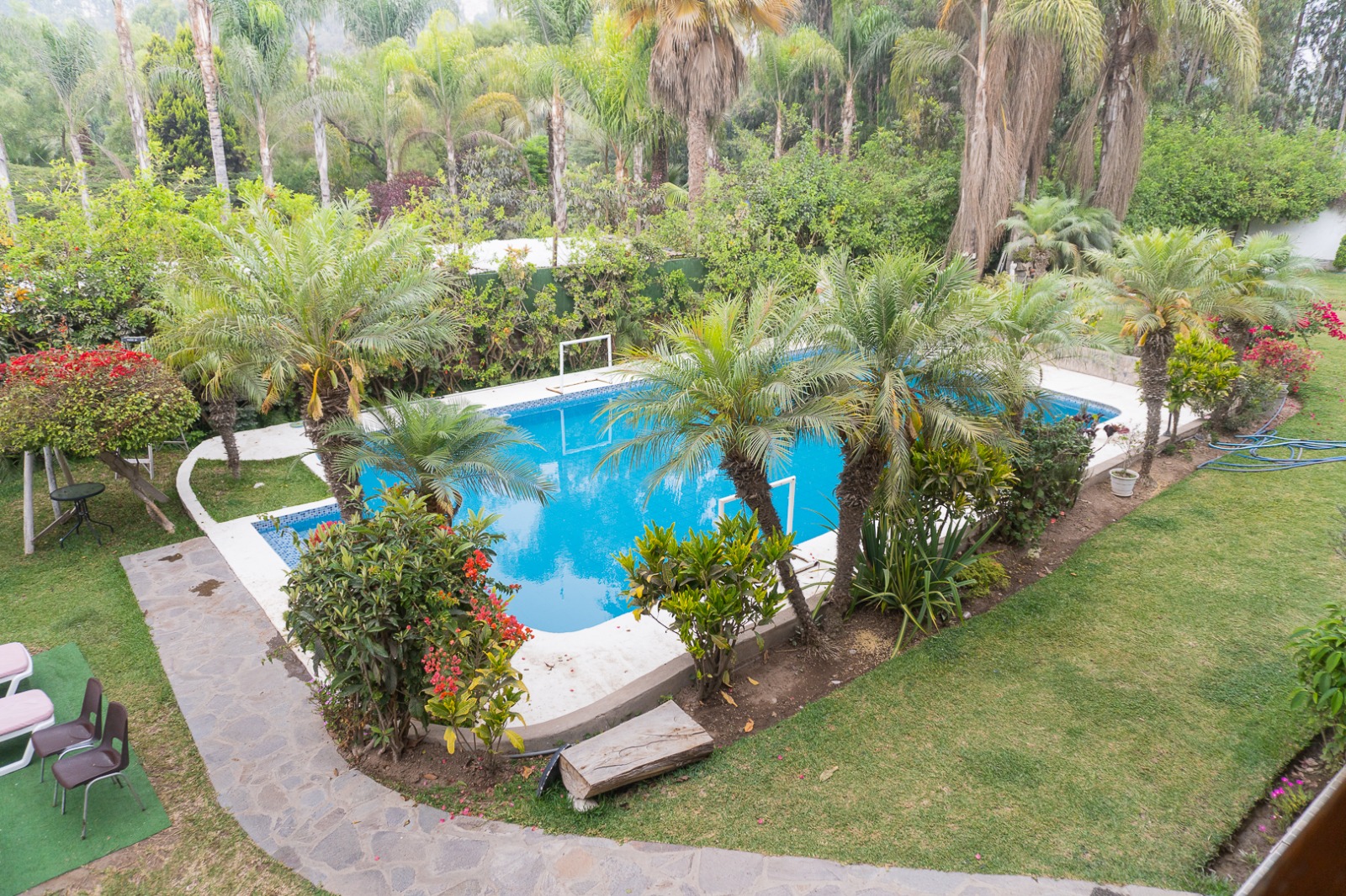 Piscina rodeada de palmeras