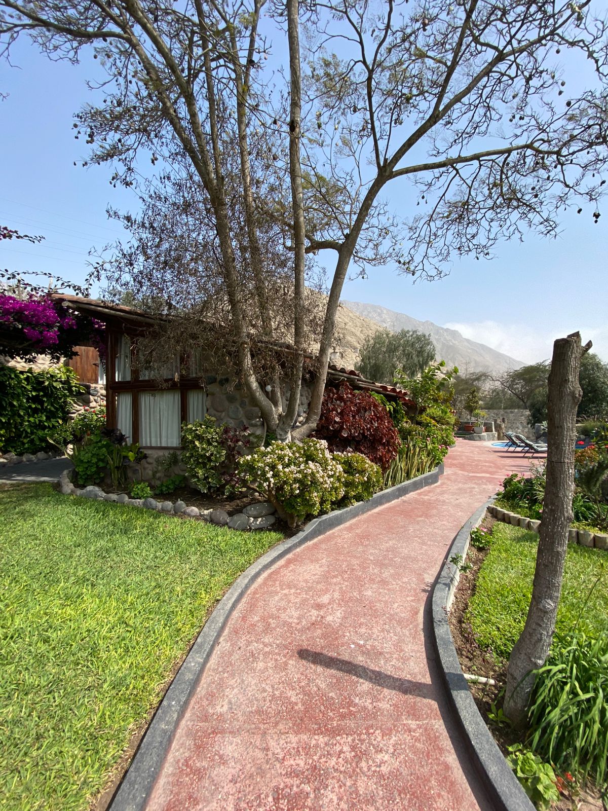 Camino y jardines