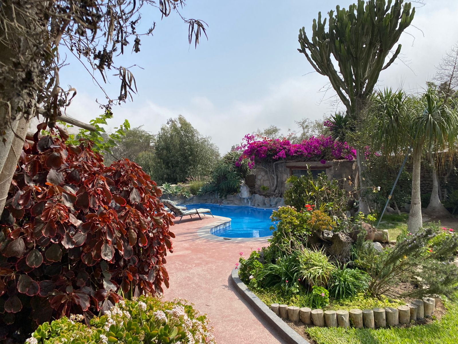 Piscina y jardín