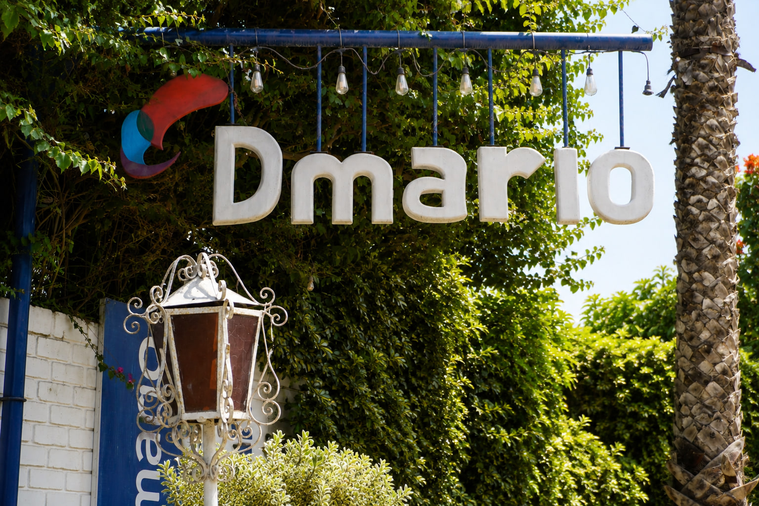 Dmario