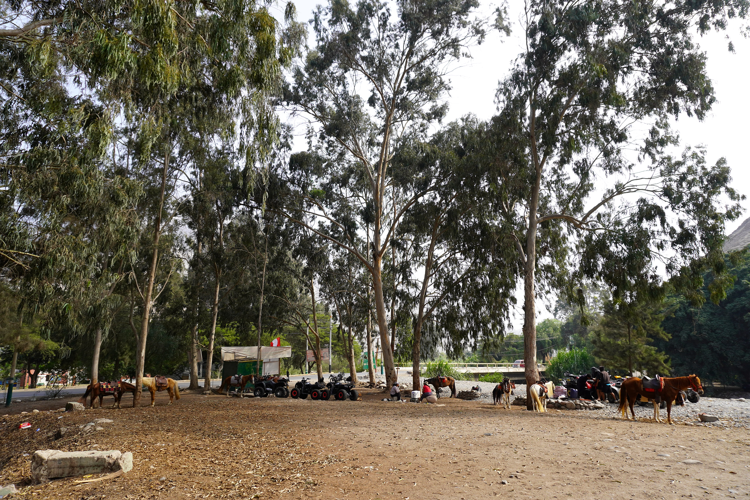 Paseos a caballo y cuatrimotos en el valle de Cieneguilla